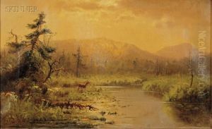 Deer In Landscape