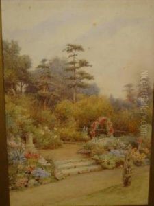 A Summer Garden