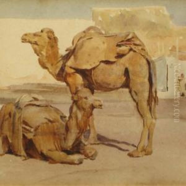 Two Camels - view 1