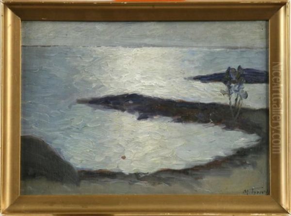 Vik I Mansken - view 1
