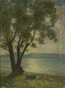 Weide Am See by Georg Tyrahn