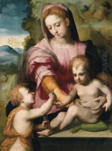 Madonna Col Bambino E San Giovannino by Domenico Puligo