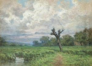 Paesaggio Con Albero Paesaggio Con Albero