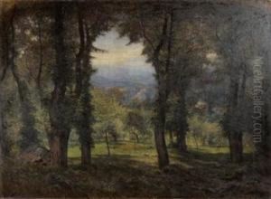 Sottobosco by Romollo Ubertalli