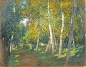 Strada Nel Bosco Strada Nel Bosco