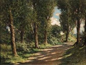 Strada Nel Bosco Strada Nel Bosco