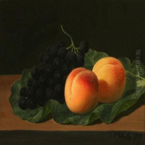 Still Life With Grapes And Peaches On Cabbage Still Life With Grapes And Peaches On Cabbage