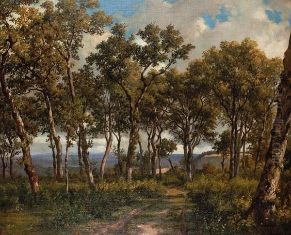 Lichteseichenwaldchen - view 1