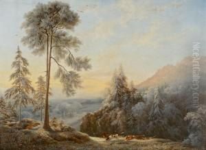 Fuchsjagd Im Winter