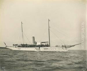Nordissa, Medusa, Yarta