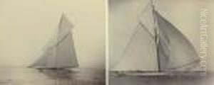 Bona Under Spinnaker Racing Off Cowes; And Ailsa In Light Air