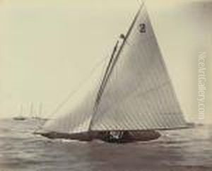 The 24ft Class Query And The 18ft Class Spruce Off Cowes The 24ft Class Query And The 18ft Class Spruce Off Cowes