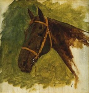 Cabeza De Caballo Cabeza De Caballo