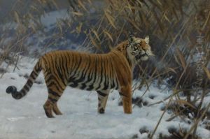 A Tiger Prowling In The Snow by Hugo Ungewitter