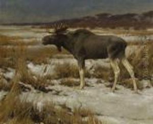 Elch In Winterlandschaft by Hugo Ungewitter