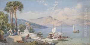 Sommerliches Seeufer Am Comer See