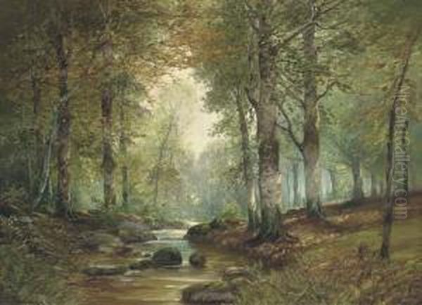 Deer In A Woodland Landscape - view 1