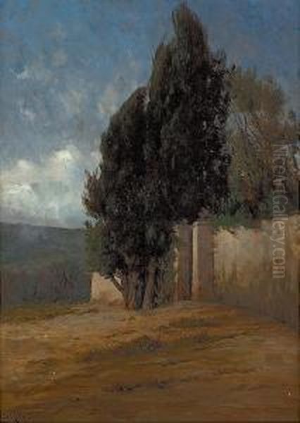 Paisaje - view 1
