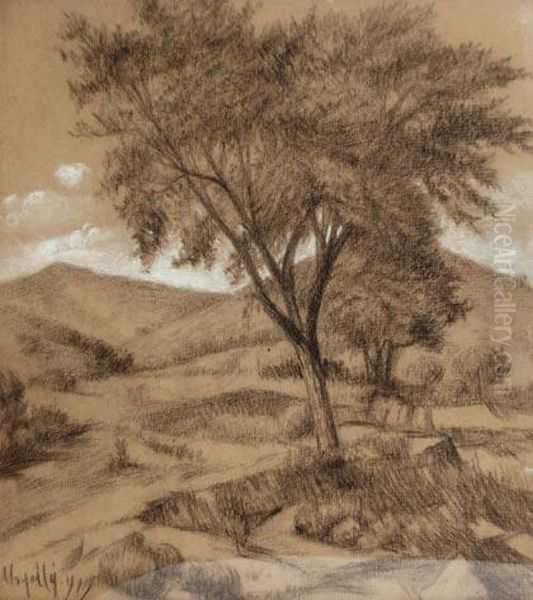 Paisaje - view 1