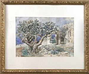Feigencactus In Capri - Italien by Georg Johann Christ. Urlaub
