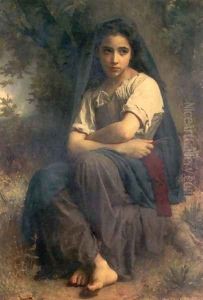 The Little Knitter