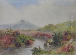 Dartmoor And Untitled