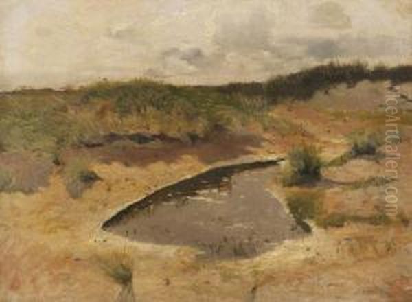 Dunenlandschaft - view 1
