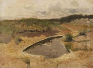 Dunenlandschaft