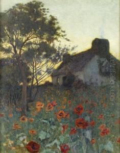 Poppies In The Gloaming by Jane Utley