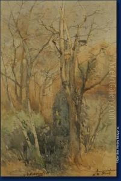 Bosquet - view 1