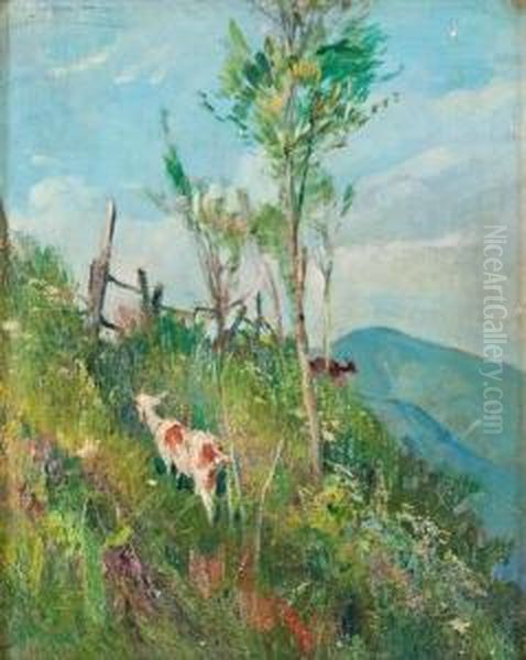 La Capra Al Pascolo - view 1