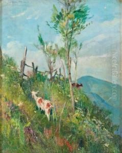 La Capra Al Pascolo by Alfredo Vaccari