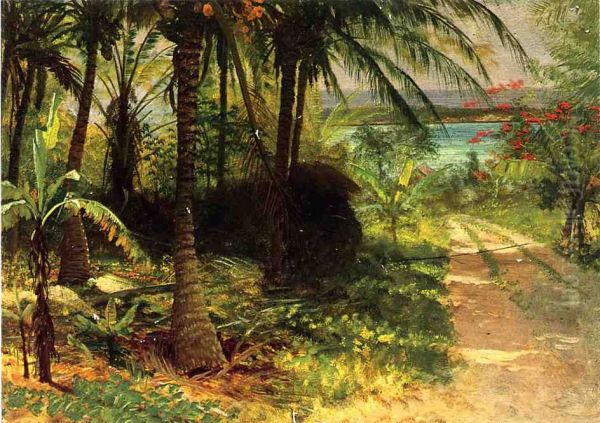 Tropical Landscape - view 1