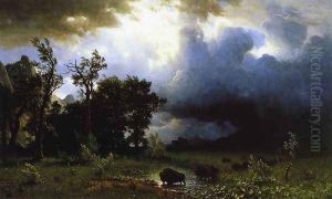 Buffalo Trail (or The Impending Storm)