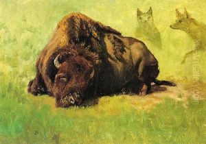 Bison with Coyotes in the Background