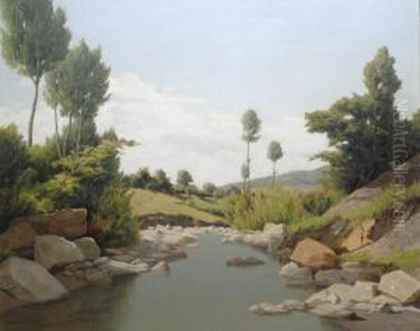 Torrente (paesaggiodell'amiata) - view 1