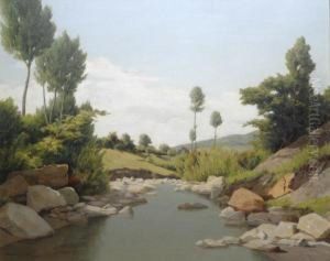 Torrente (paesaggiodell'amiata)