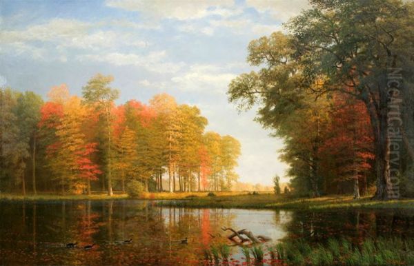 Autumn Woods - view 1