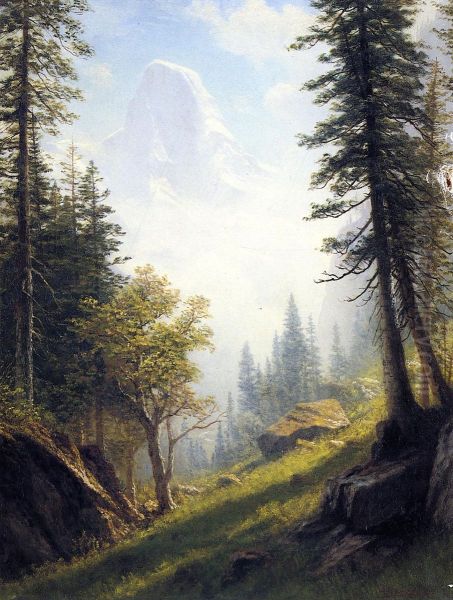 Among The Bernese Alps - view 1