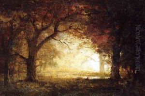 Forest Sunrise