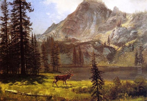 Call Of The Wild - view 1