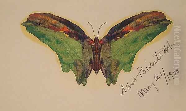 Butterfly - view 1