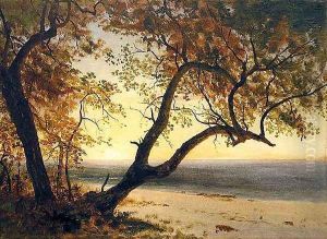 Untitled [Landscape in Florida or the Bahamas]