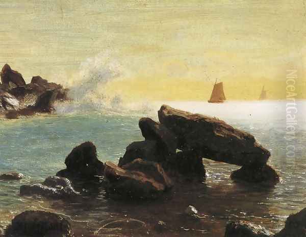 Farralon Islands California - view 1
