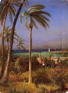 Bahamian View