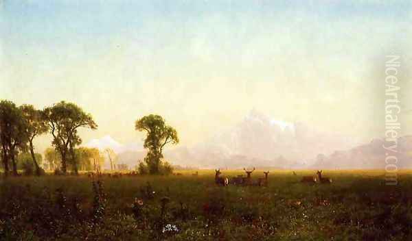Deer Grazing Grand Tetons Wyoming - view 1