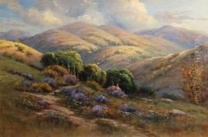 California Wildflowers On Rolling Hills