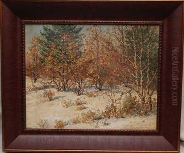 Winter Landscape - view 1