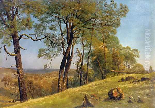 Landscape, Rockland County, California - view 1