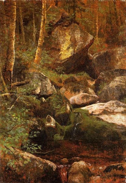 Forest Stream - view 1